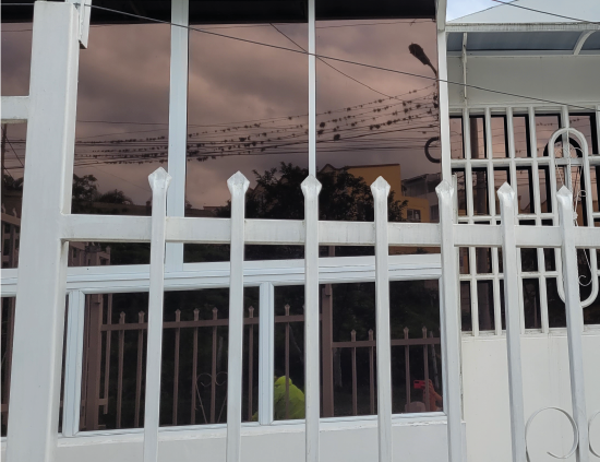 Polarizados ventanas
